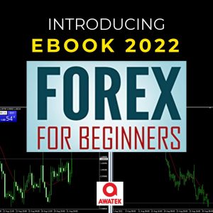 Ebook Forex for Beginner
